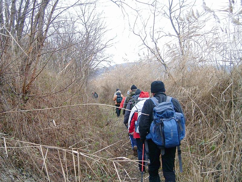 20111210 031.jpg